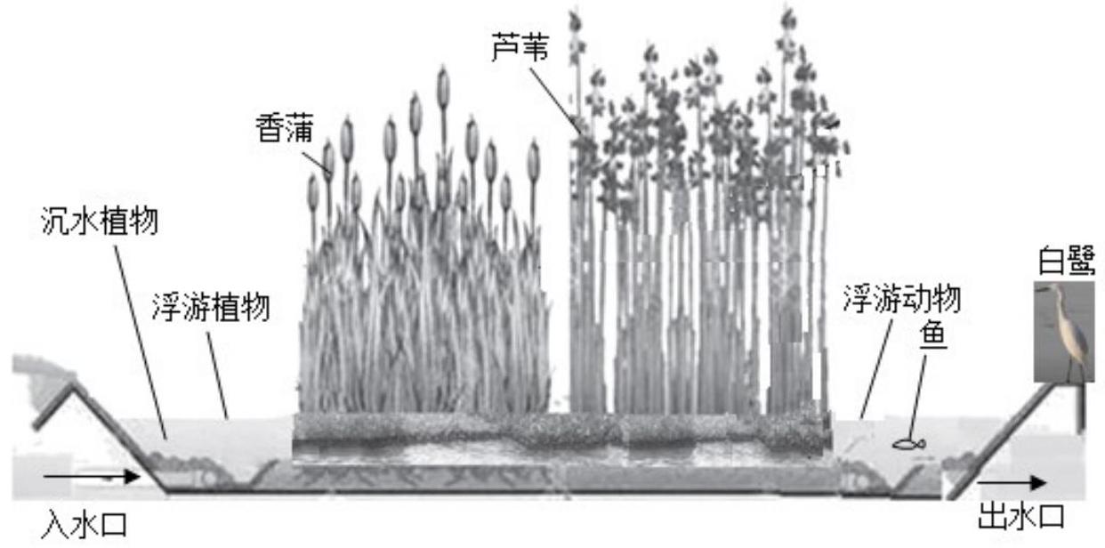 mp_54bf7a47ae.jpg