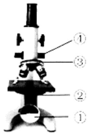 mp_55bbee30f6.jpg