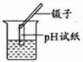 mp_562288dd1c.jpg