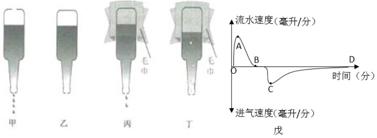 mp_56ba7c2f31.jpg