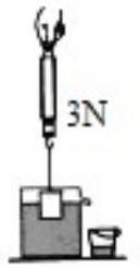 mp_5753fee28a.jpg