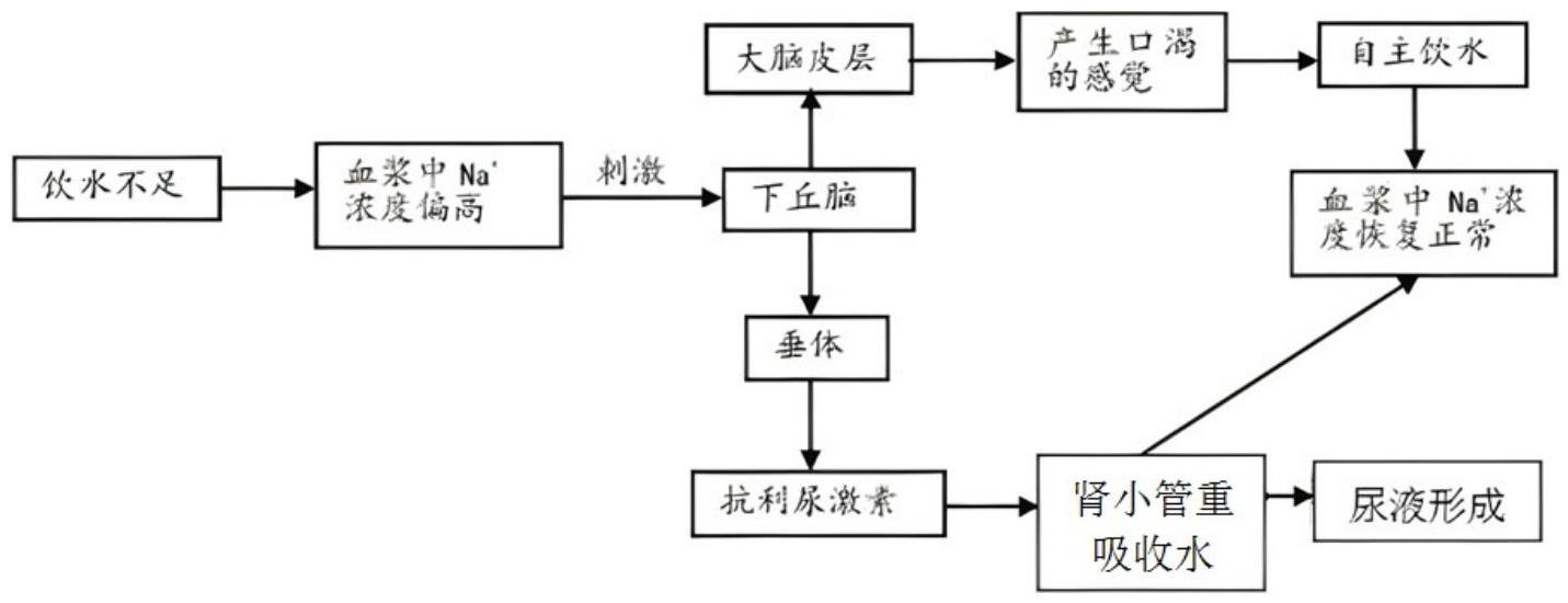mp_58af843bf6.jpg