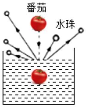 mp_58e9cf47ae.jpg