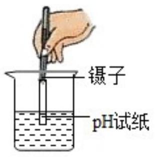 mp_58fa3dc97f.jpg