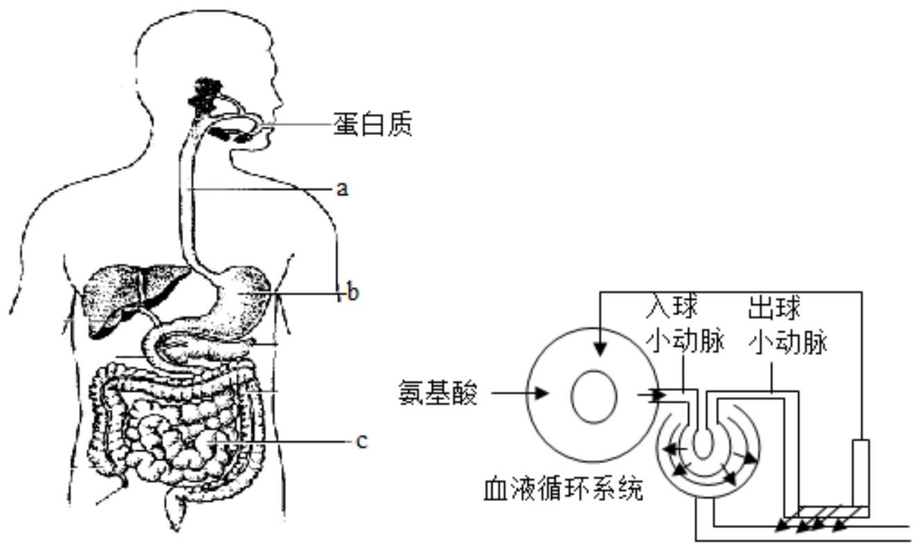 mp_594112b16c.jpg