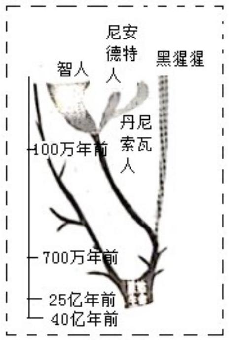 mp_5971278624.jpg