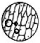 mp_59a4a78073.jpg