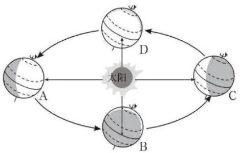 mp_5b69b5679b.jpg