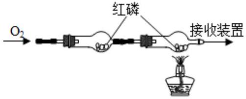 mp_5c522b3d63.jpg
