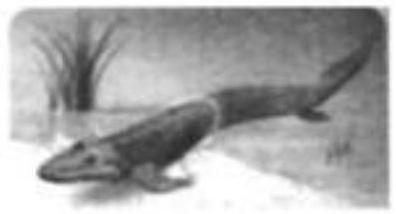 mp_5ccc229765.jpg