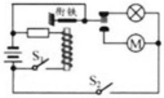 mp_5ccda248c2.jpg
