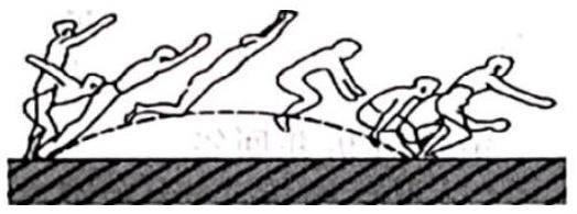 mp_5de1c2dd9f.jpg