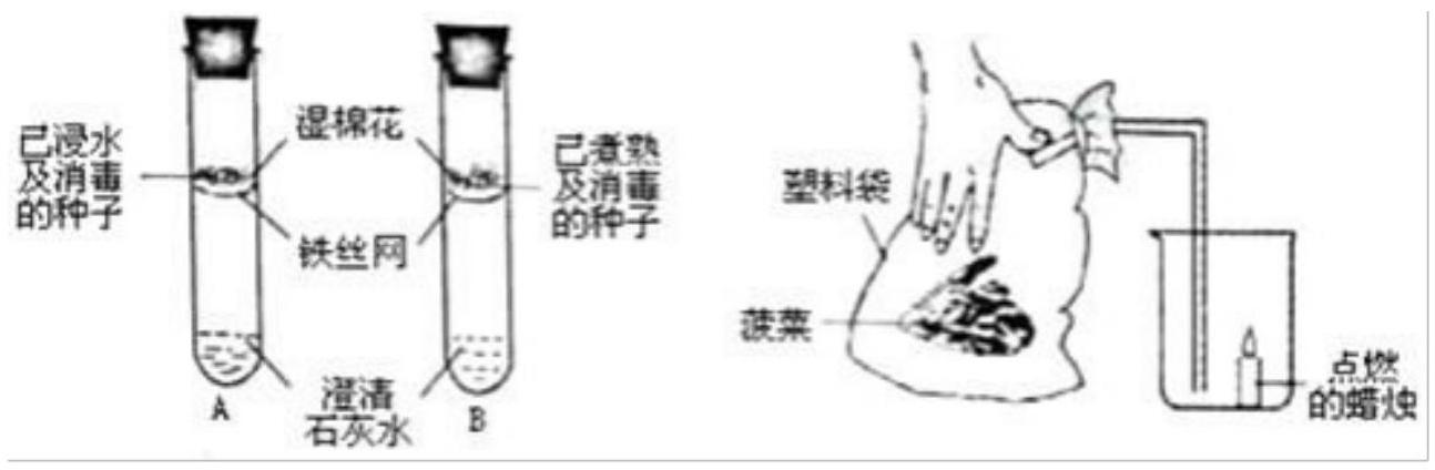 mp_5ed0201053.jpg