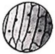 mp_5f8da41f38.jpg