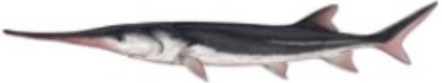 mp_5fa5ca60b6.jpg