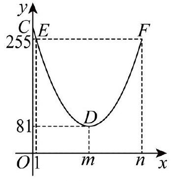 mp_602b0b88d5.jpg