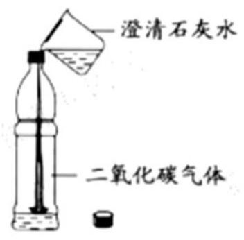 mp_60da7d75de.jpg