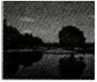 mp_61a56bb12b.jpg
