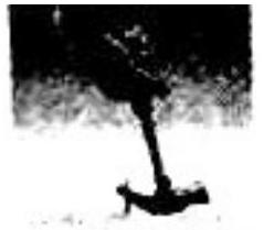 mp_61cec91113.jpg