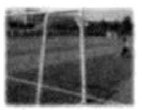 mp_6285d1f5ea.jpg