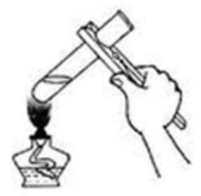 mp_62ca06c800.jpg