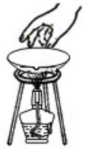 mp_636cdc2861.jpg