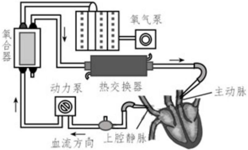 mp_63af6e716d.jpg