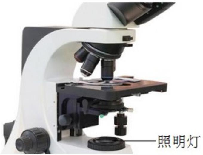 mp_63dcf94fcf.jpg