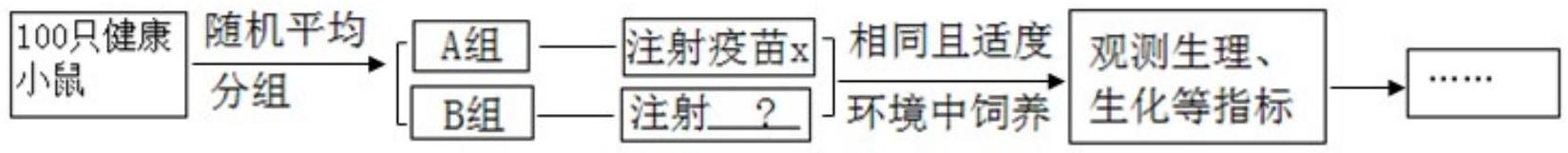 mp_63e7ace5f7.jpg