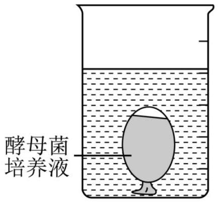 mp_6534658bf5.jpg