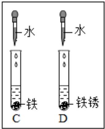 mp_65ae282401.jpg