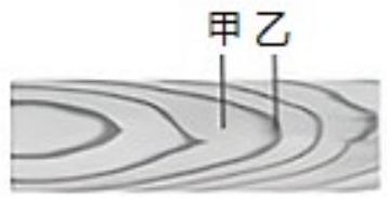 mp_67cb4ce4a0.jpg