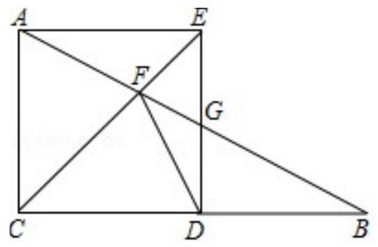 mp_67d48e1cbf.jpg