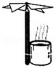 mp_69bec16dc9.jpg
