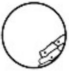 mp_6a91c57c88.jpg