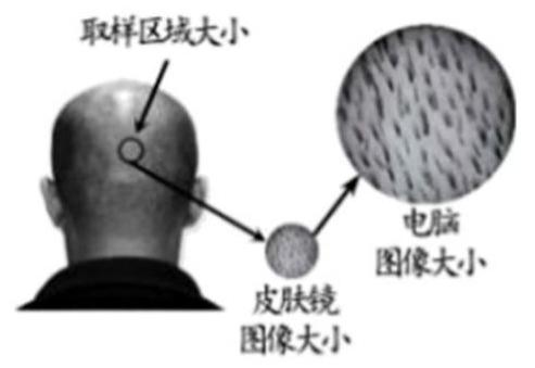 mp_6cd450da7d.jpg