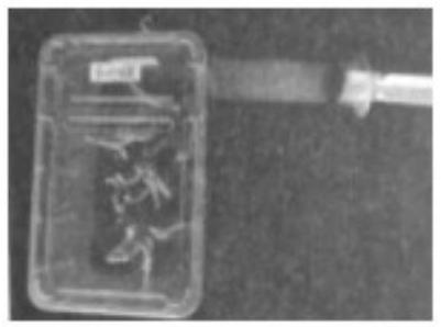 mp_6cfb930314.jpg