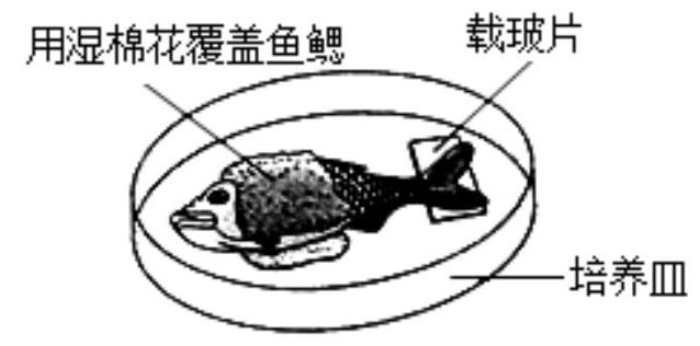 mp_6fc483628d.jpg