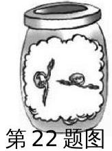 mp_704f2e2df2.jpg