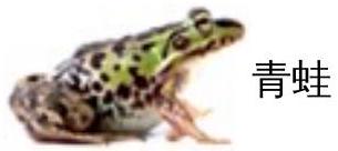 mp_705d8ab68c.jpg