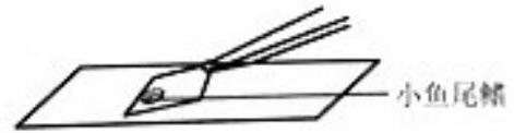 mp_713fdce287.jpg