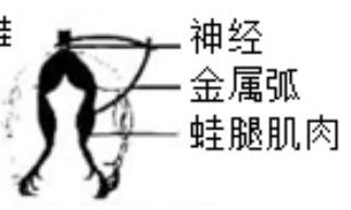 mp_714331681c.jpg