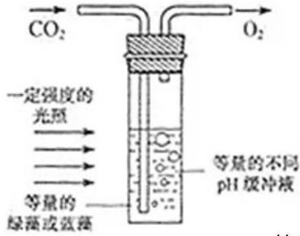 mp_72b96e3c07.jpg