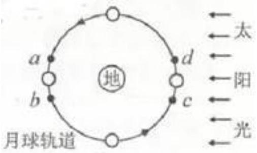 mp_7307aa70de.jpg
