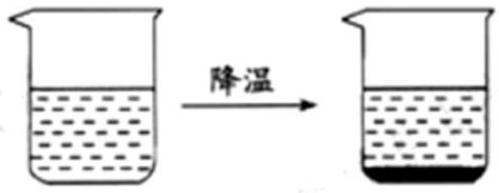 mp_7337a105e3.jpg