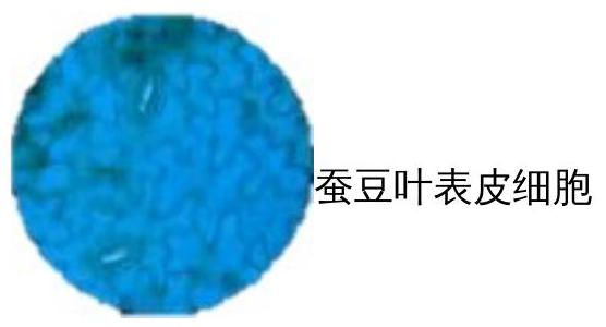 mp_74ca1b2df7.jpg