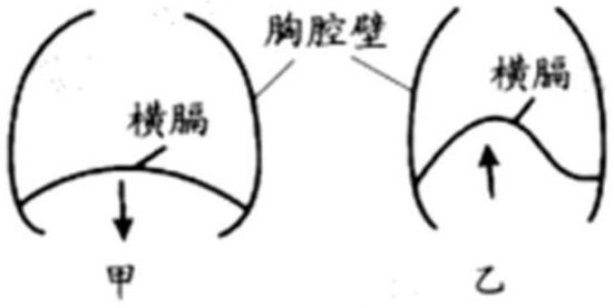 mp_7505450bbb.jpg