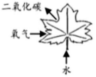 mp_76255761c8.jpg