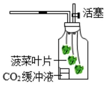 mp_77c74b7ceb.jpg
