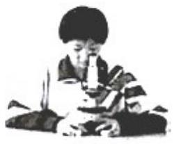 mp_77e3990050.jpg